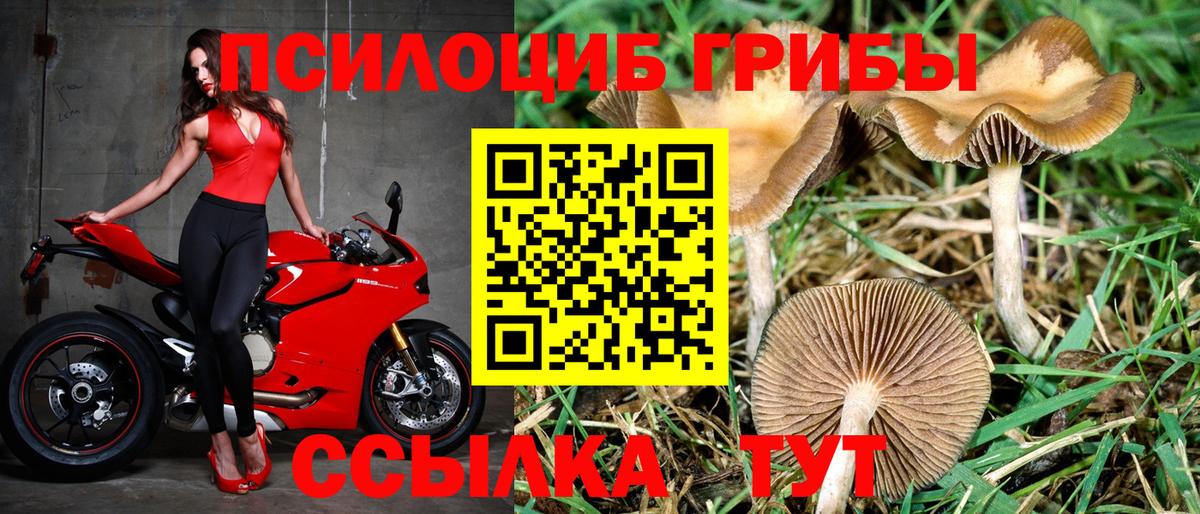 Галлюциногенные грибы MAGIC MUSHROOMS Рассказово