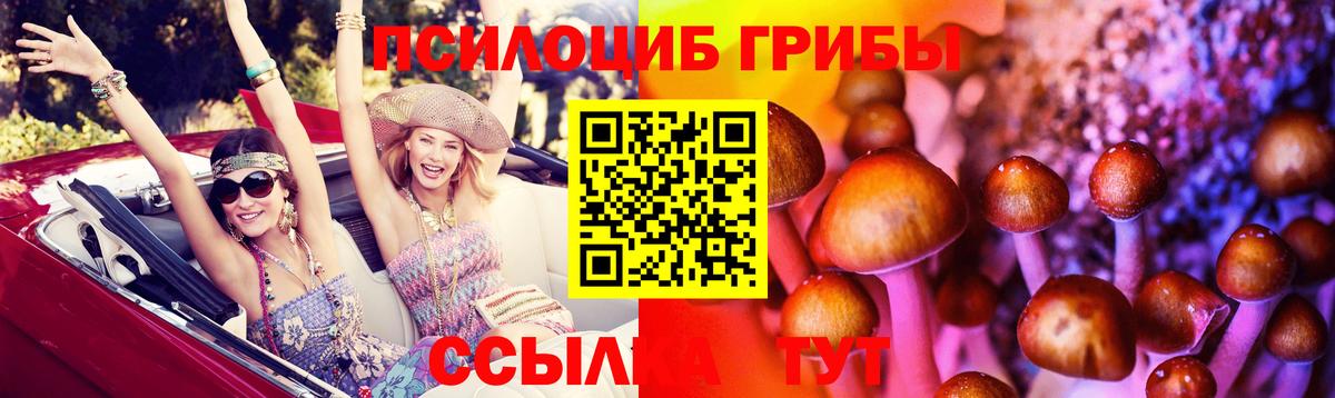 Псилоцибиновые грибы прущие грибы  Псилоцибиновые грибы мухоморы  Рассказово 